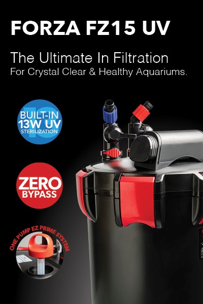 FORZA FZ15 UV The Ultimate Canister Filter